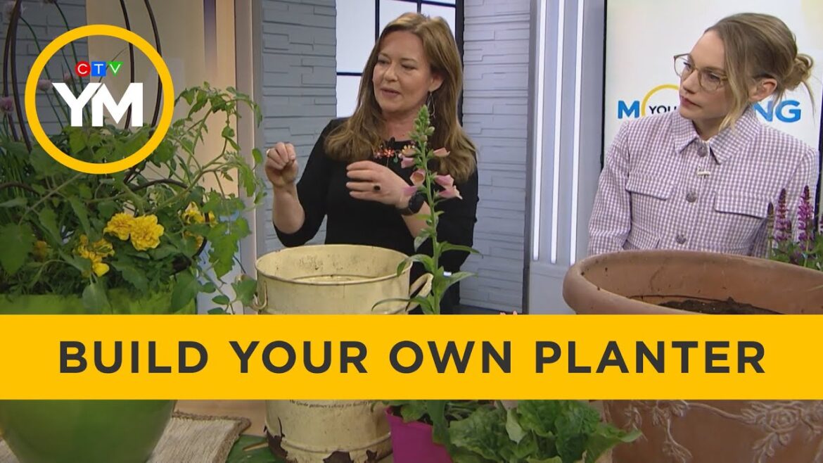 How to build your own planters | Your Morning