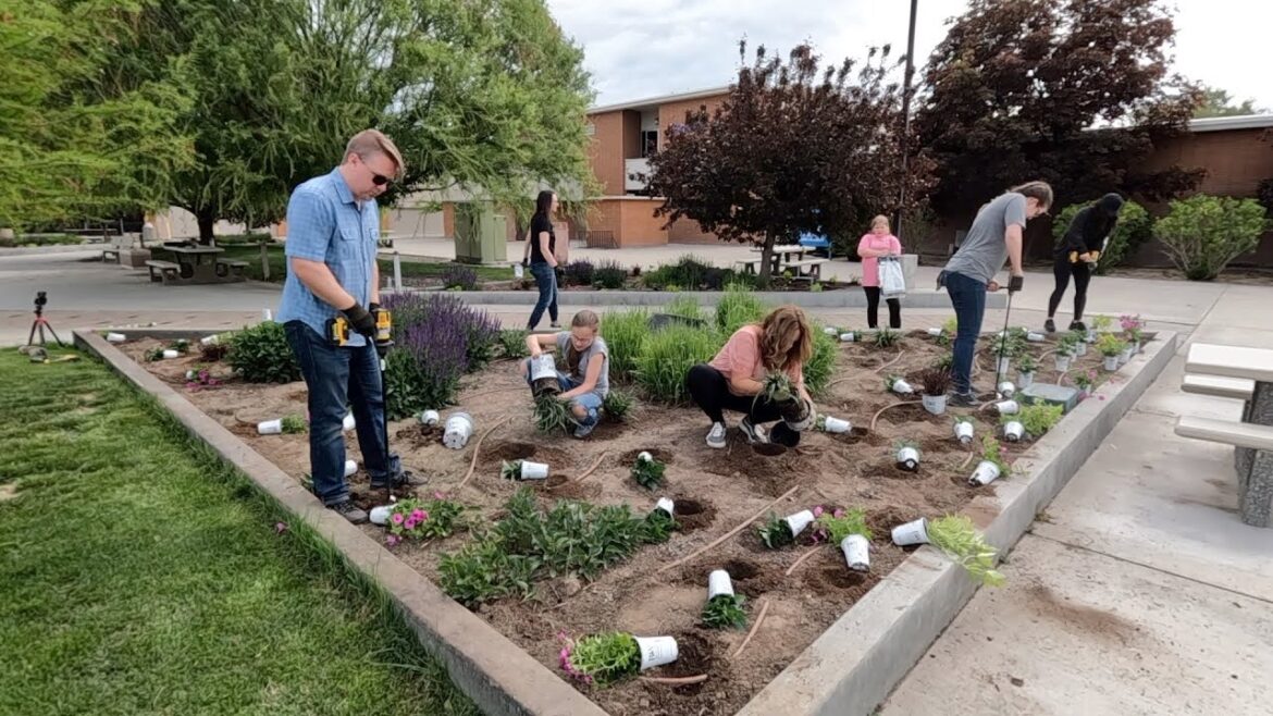Planting Up Our Local Community College with a LOT of Help from Friends! 🥰💚🙌 // Garden Answer