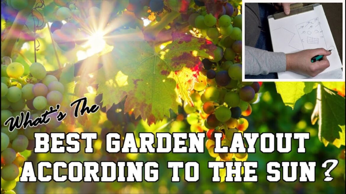 How To Properly Design A Food Forest Garden Based On The Pattern Of The Sun How To Properly Design A Food Forest Garden Based On The Pattern Of The Sun