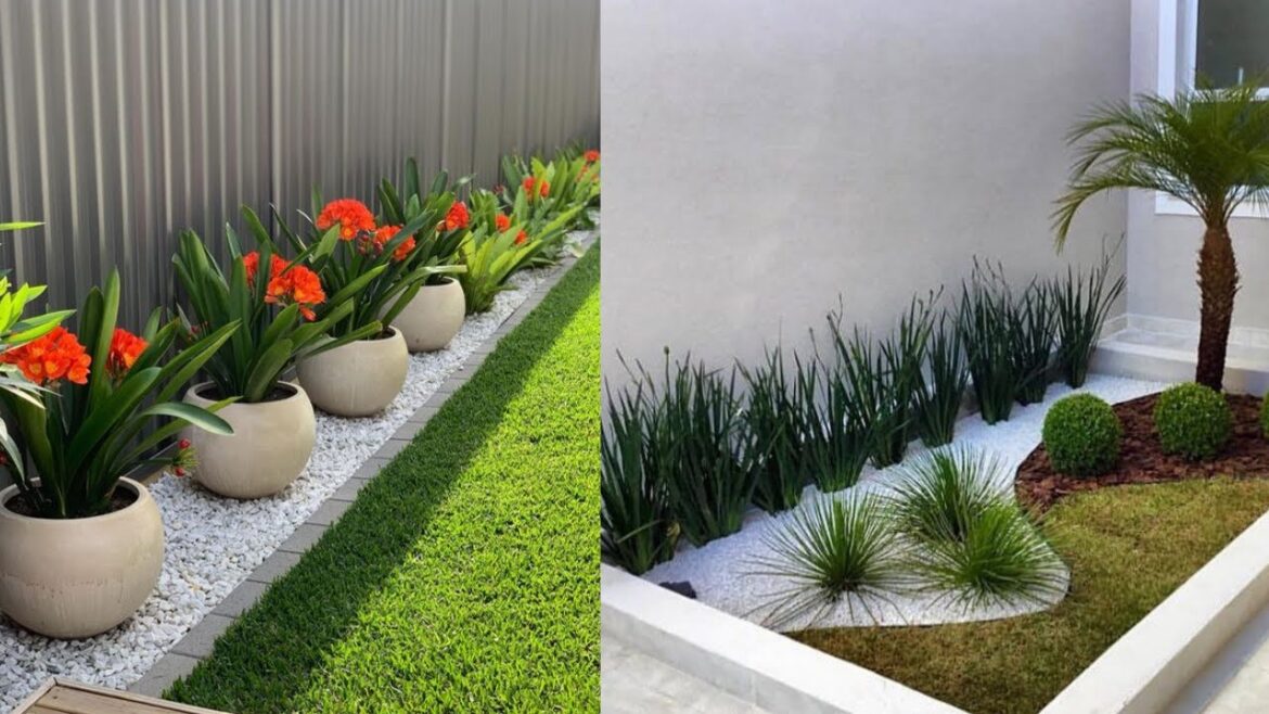 Side Yard Landscaping Ideas || Landscaping and Gardening