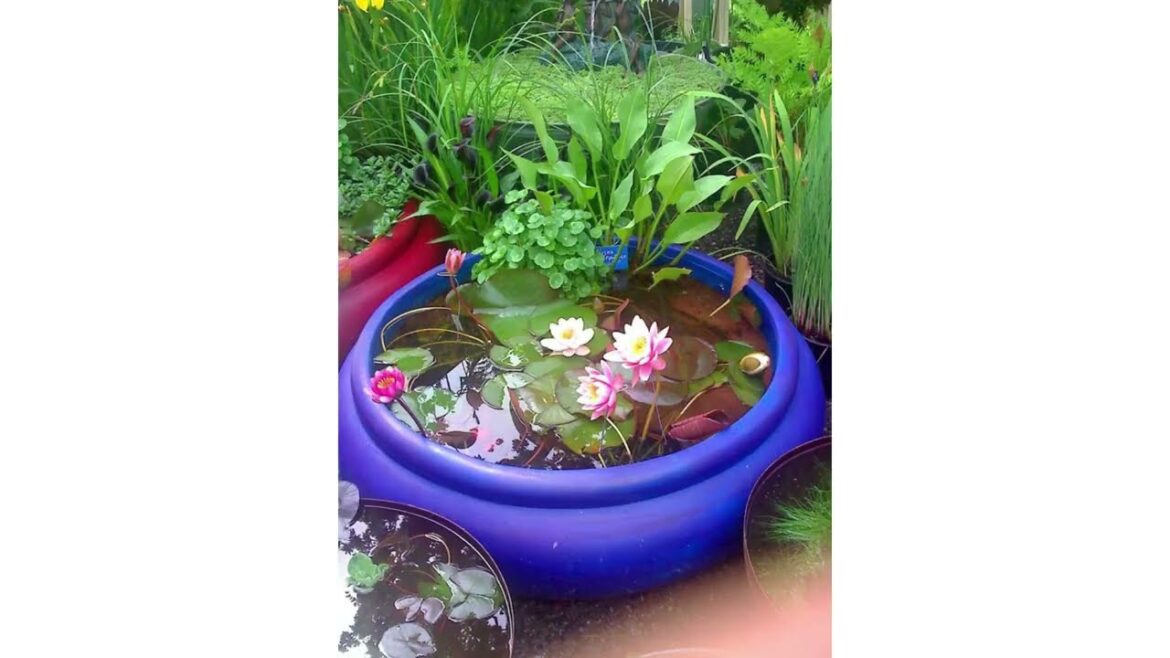 Beautiful Mini Water Garden Ideas
