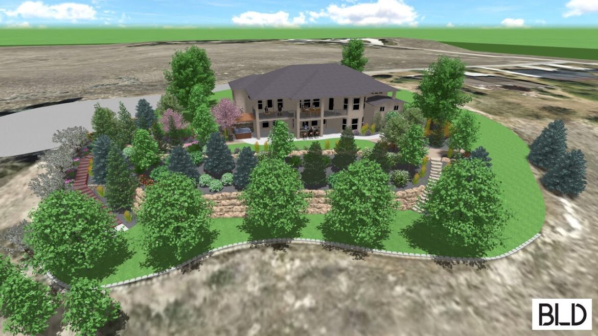 Star Backyard Landscape Design