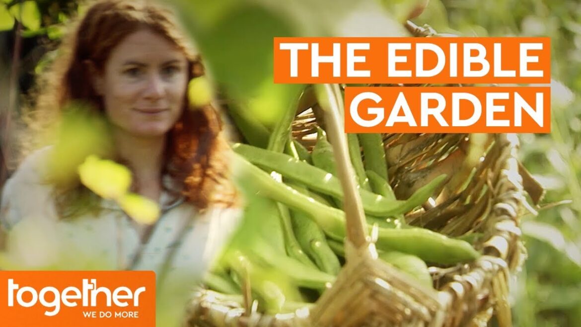 The Edible Garden | Promo