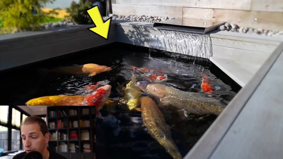 Backyard Koi Fish Pond Transformation! **3 Garden And Ponds**