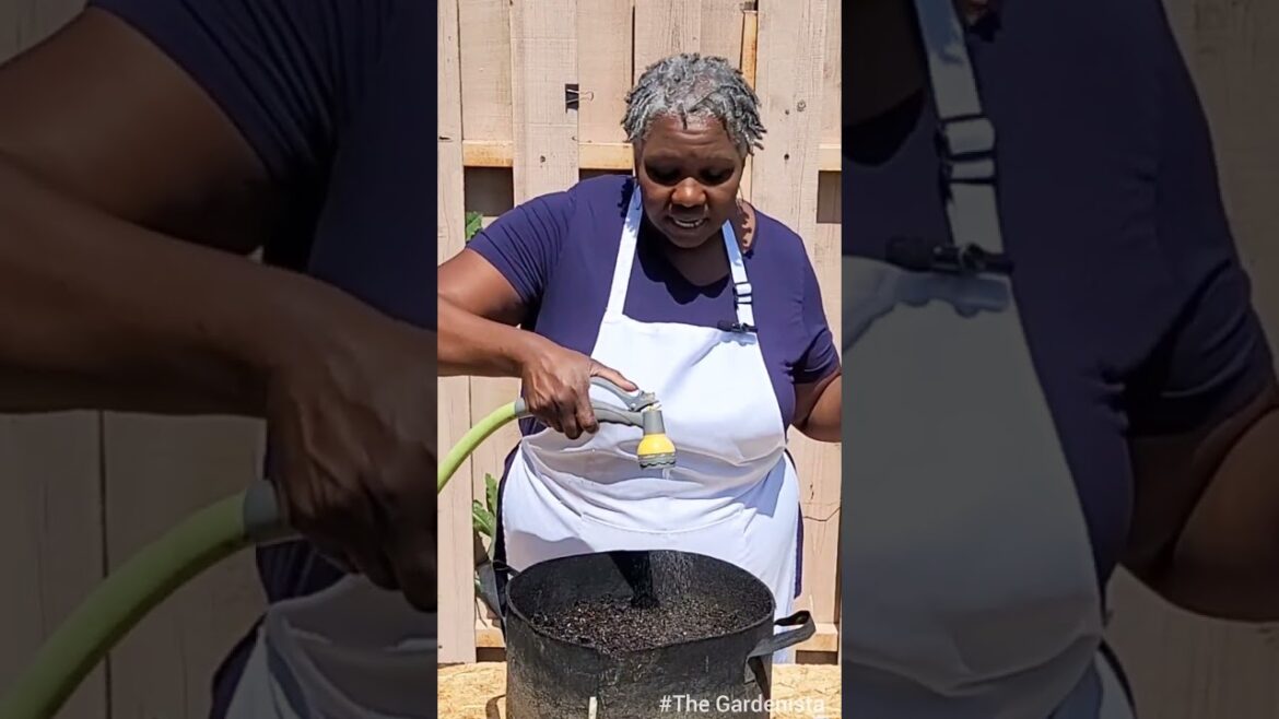 How to Attract Pollinators to Your Veggie Garden - - It's Easier Than You Think!