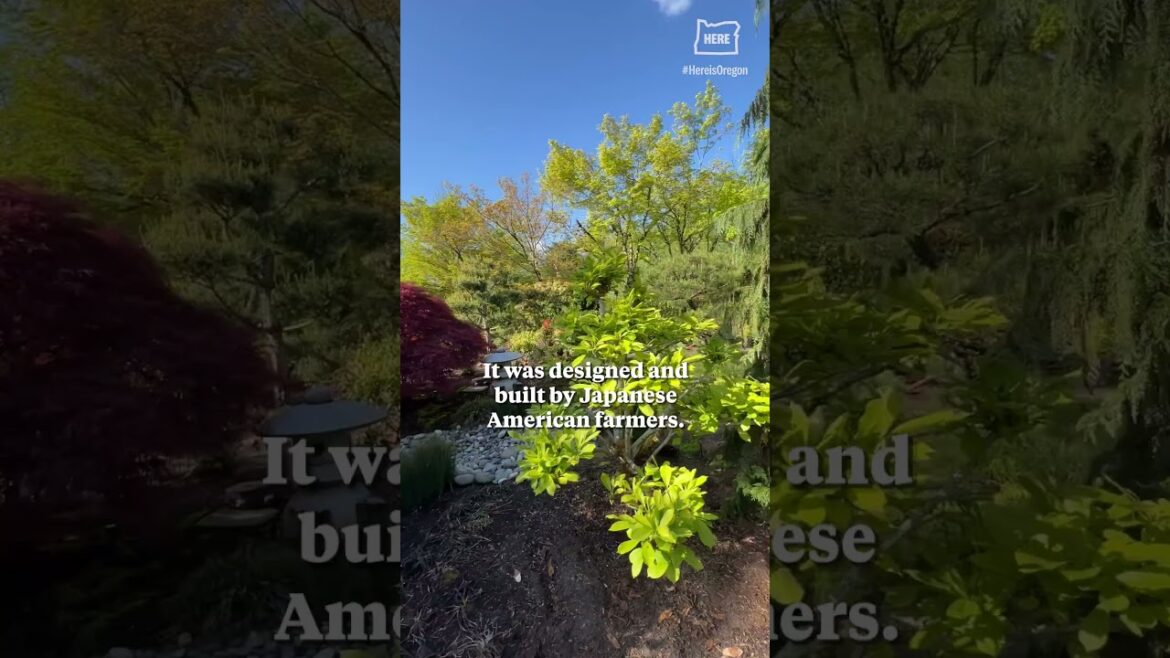 Gresham’s Japanese Garden is thriving on a small island in Main City Park Gresham’s Japanese Garden is thriving on a small island in Main City Park