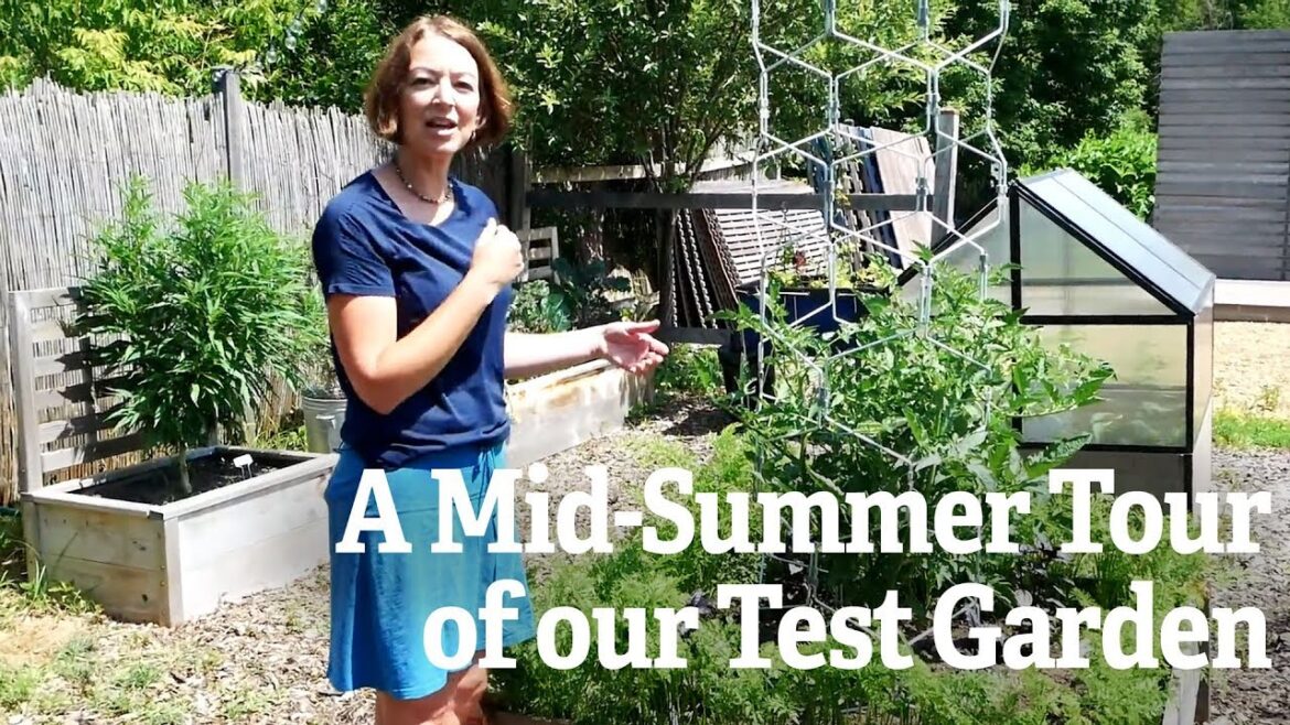 A Mid-Summer Tour of our Test Garden