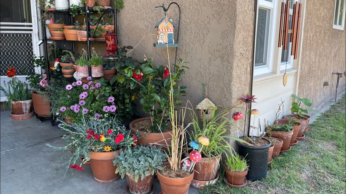 My sisters apartment garden tour My sisters apartment garden tour