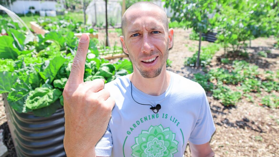 James Prigioni: Doing This ONE THING Eliminates 90% of PEST PROBLEMS in the Garden Doing This ONE THING Eliminates 90% of PEST PROBLEMS in the Garden