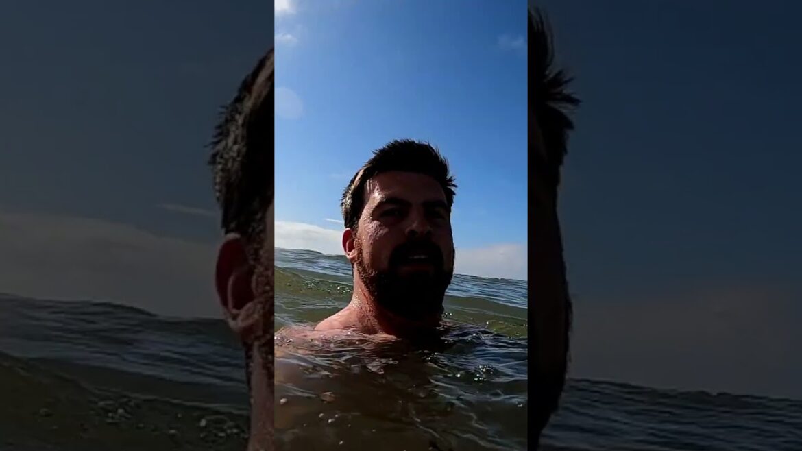 Huw Richards: The Day of a Gardening YouTuber in 60 seconds The Day of a Gardening YouTuber in 60 seconds