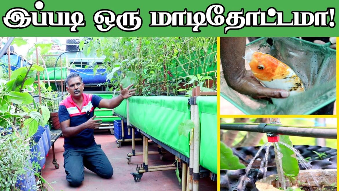 மாடித்தோட்டத்தில் இதெல்லாம் பண்ணலாமா! Perfect Terrace Garden | Guna Garden Ideas