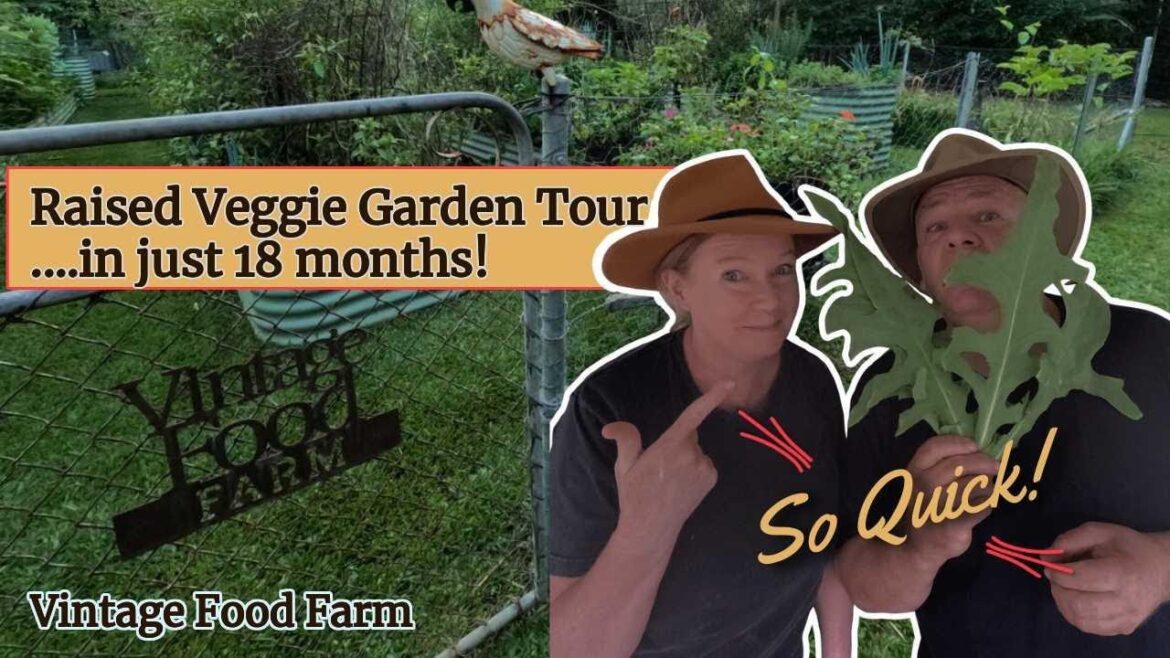 Raised Garden Bed Vegetable Garden in the Tropics of Australia ๐
๐๐ฅ๐ฅ๐ซ๐ฅ๐ฅ๐  Raised Garden Bed Vegetable Garden in the Tropics of Australia ๐
๐๐ฅ๐ฅ๐ซ๐ฅ๐ฅ๐
