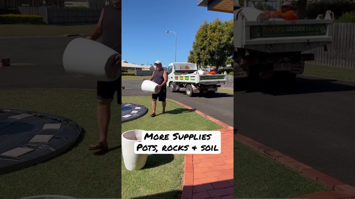 Front Yard Garden Landscaping Project P.4 More Supplies #shorts