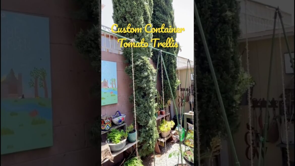 Custom Container Tomato Trellis | Container Vegetable Gardening