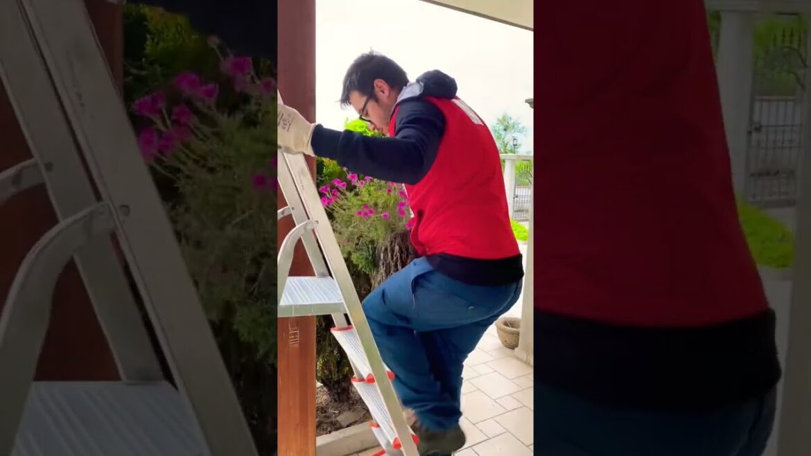 Garden Ideas 2023 - Italian Style - Garden Design