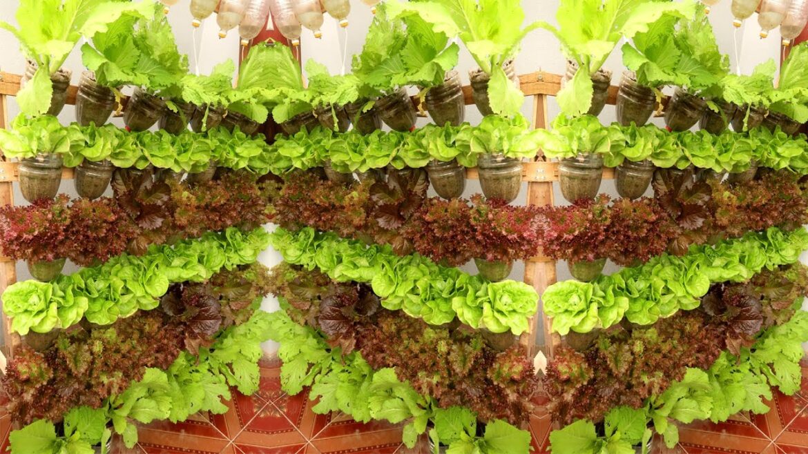 Wonderful Vertical Vegetable Garden Outside Balcony | TEO Garden