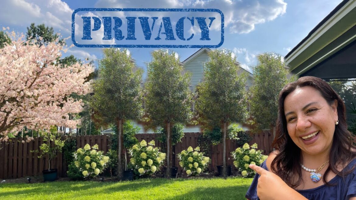 Try these if you’re looking for privacy in your backyard! Try these if you’re looking for privacy in your backyard!