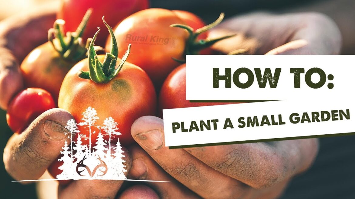 How to Plant and Grow a Small Garden | Self-Sufficiency Tips | Realtree Pay Dirt How to Plant and Grow a Small Garden | Self-Sufficiency Tips | Realtree Pay Dirt