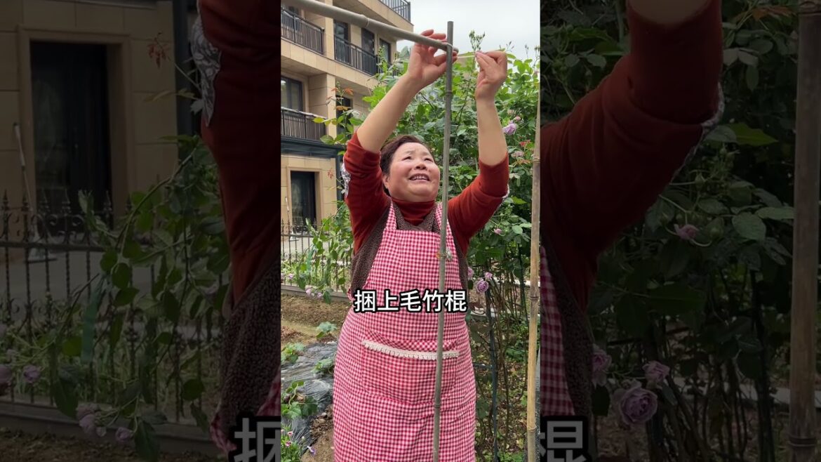 If you have wooden barrels at home, you can grow vegetables like me without wasting space#shorts