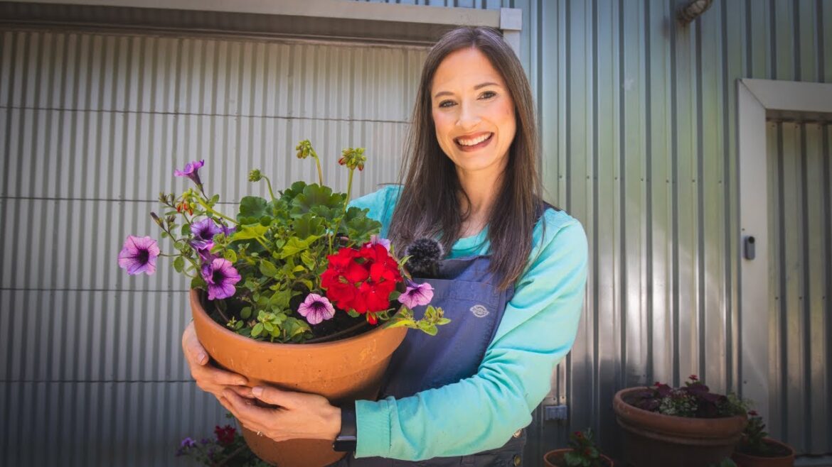 Container Inspiration