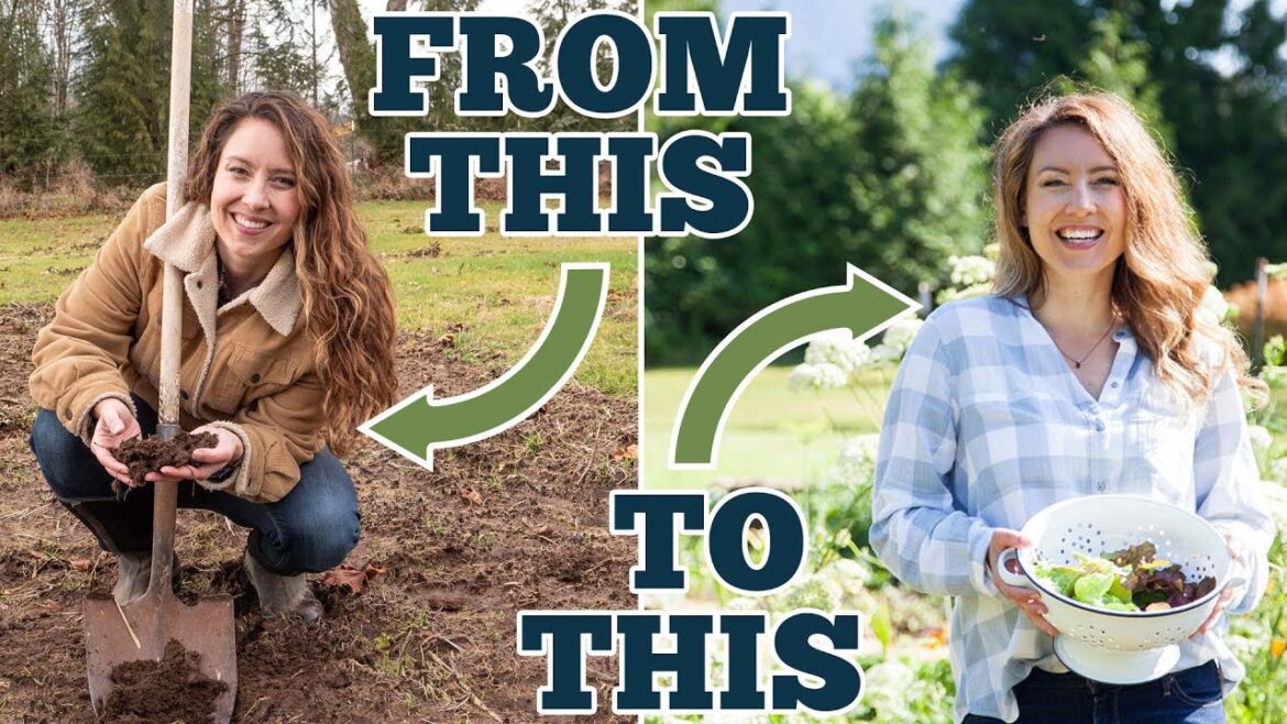 13 Tips to Starting a New Vegetable Garden for MAXIMUM Harvest