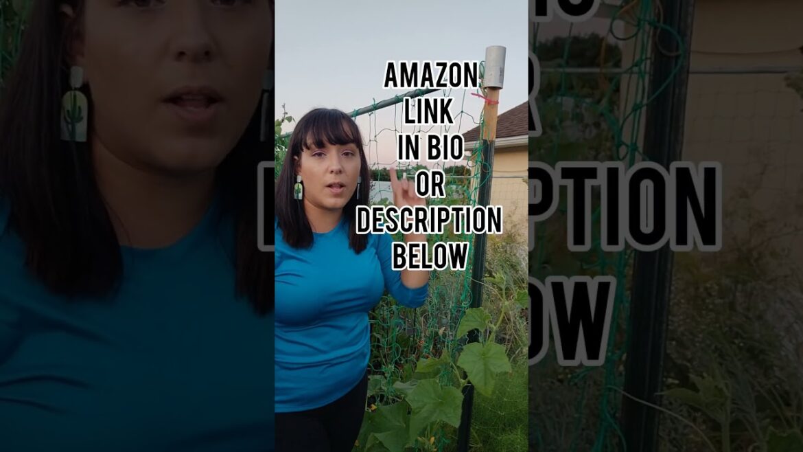 EASY & CHEAP large trellis system - no tools required #trellis #garden #gardeningtips #gardenideas