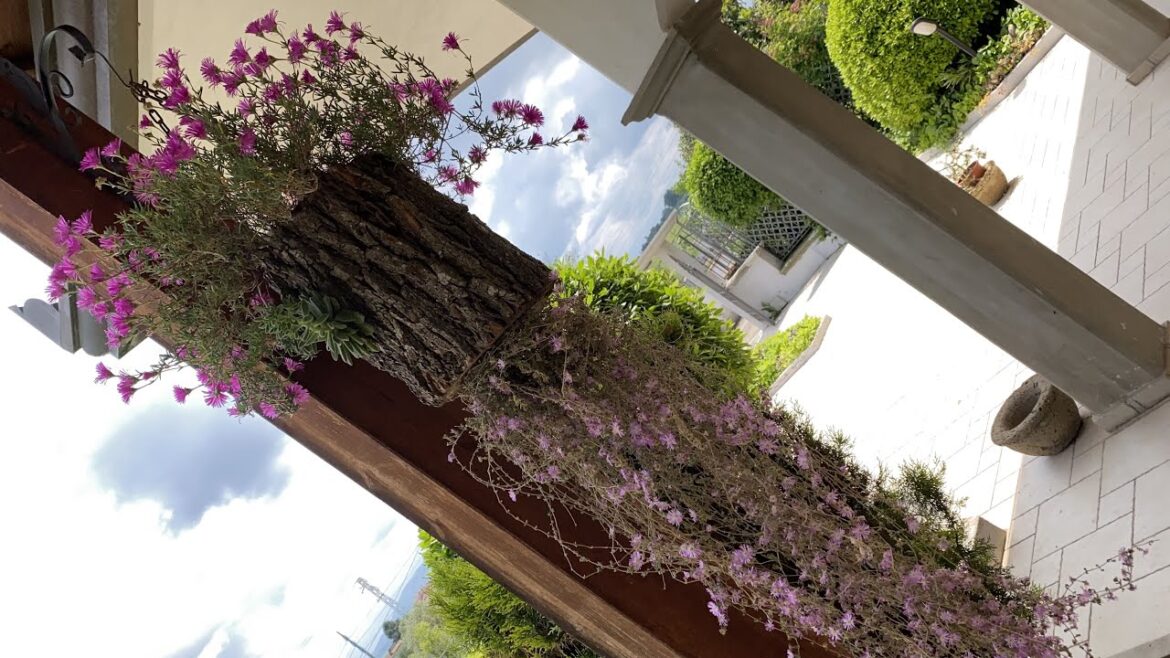 Garden Ideas 2023 - Italian Style - Garden Design