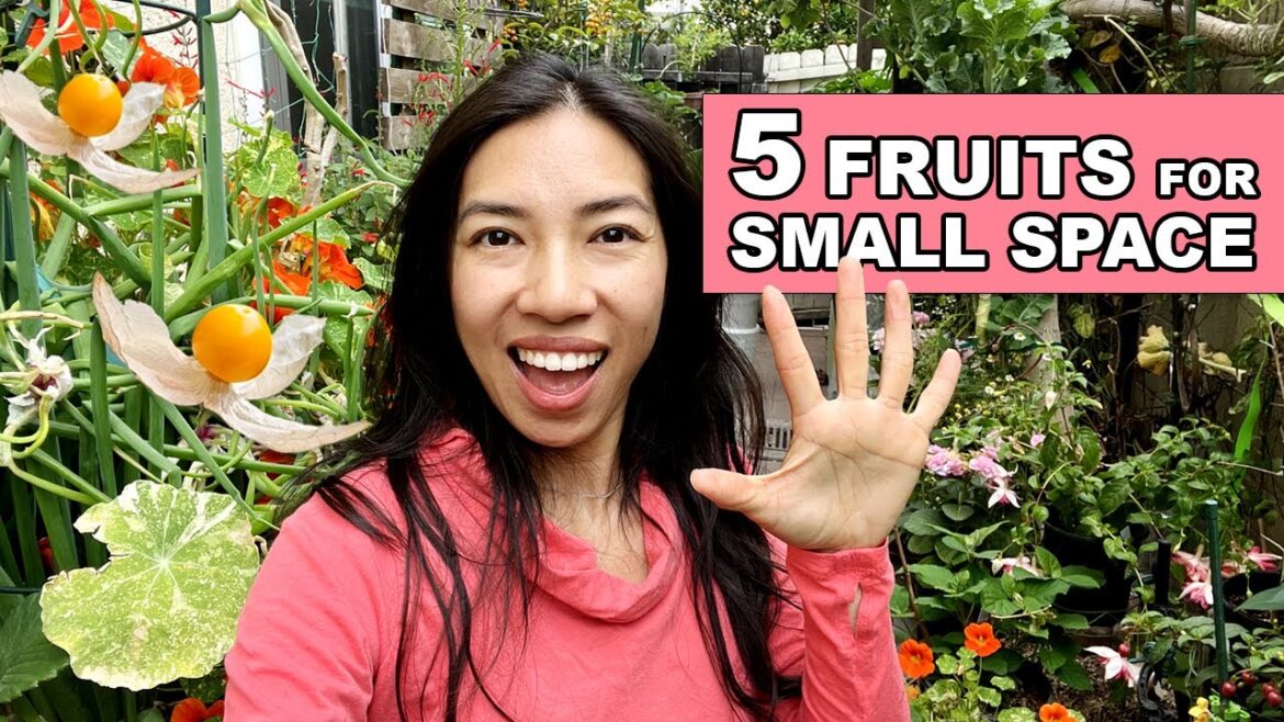 Small Space Gardening: Grow Fruits in 2 Inch Pots & More! Small Space Gardening: Grow Fruits in 2 Inch Pots & More!
