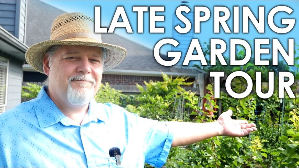 Late Spring Garden Tour – Reality… || Black Gumbo Late Spring Garden Tour - Reality... || Black Gumbo