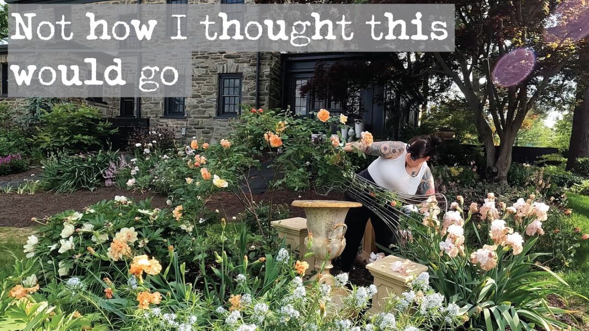 In My Garden Vlog: Not how I thought today was going to go In My Garden Vlog: Not how I thought today was going to go