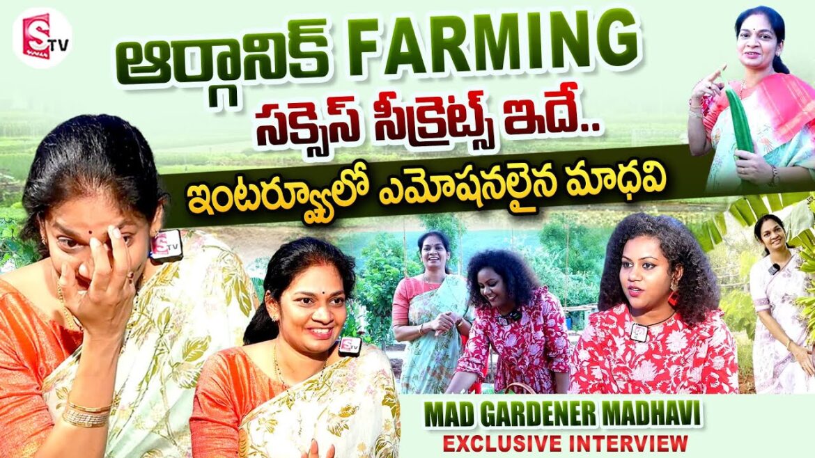 Mad Gardener Madhavi Emotional Interview || Mad Gardener Organic Farming || Telugu Vlogs || SumanTV