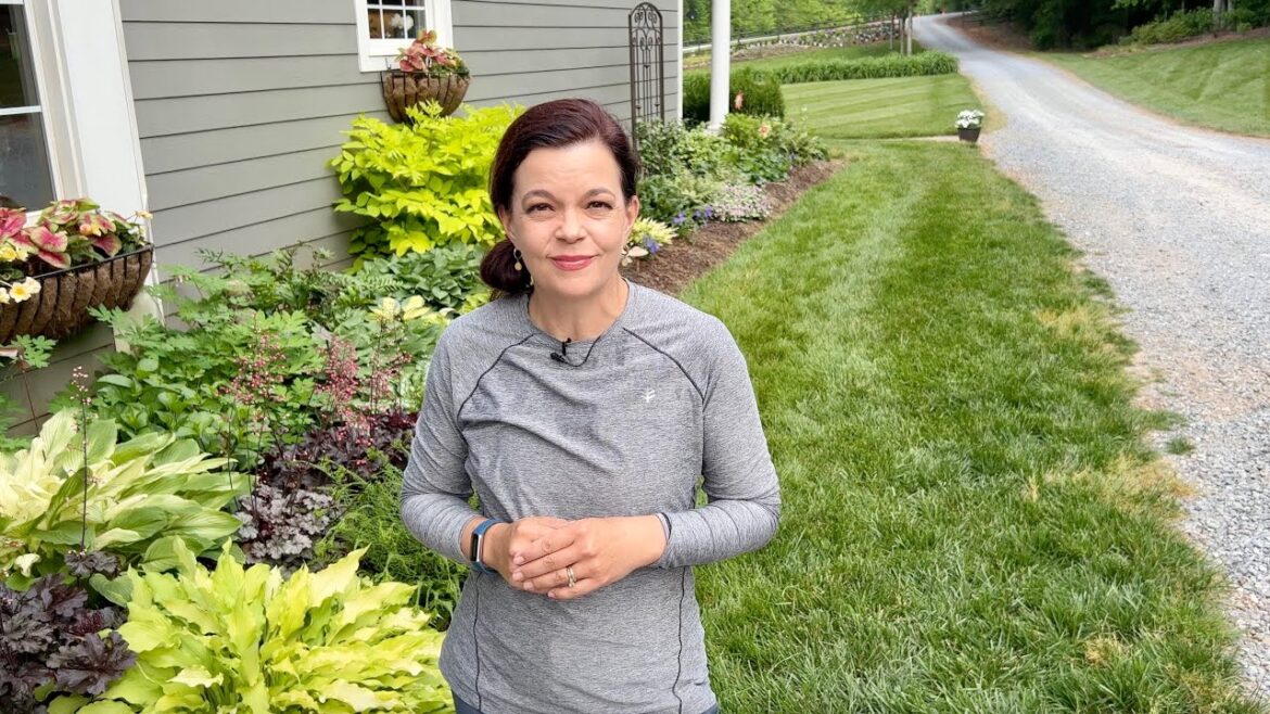 Beautiful Spring Shade Garden Tour | Gardening with Creekside Beautiful Spring Shade Garden Tour | Gardening with Creekside