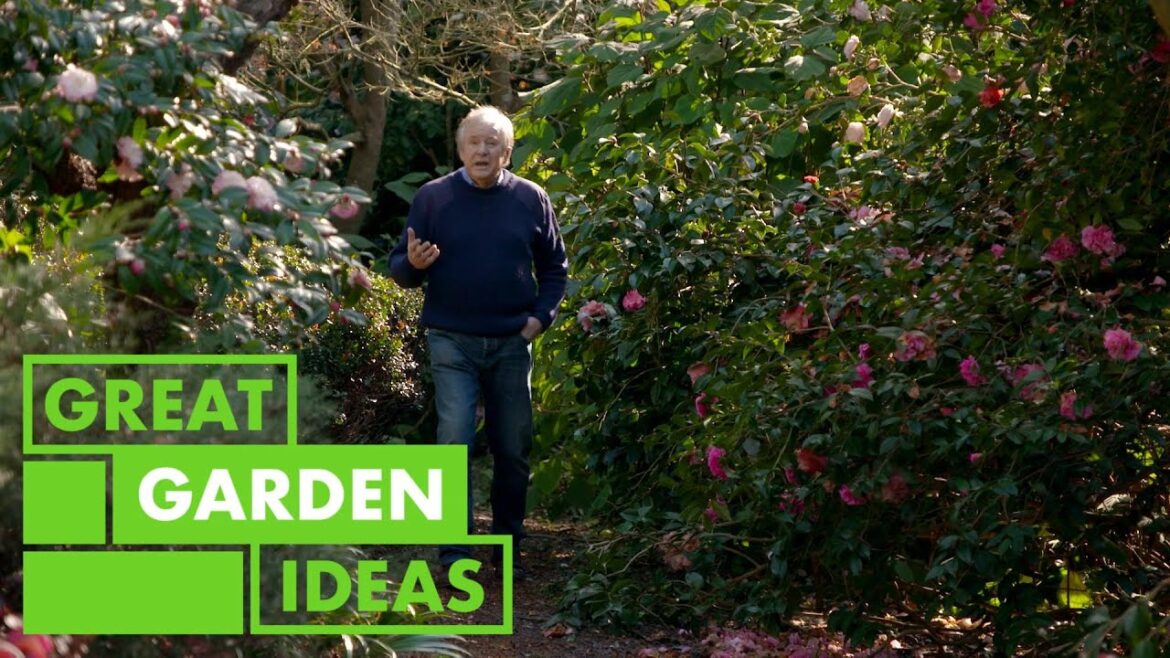 Garden Walkaround - Elegans| GARDEN | Great Home Ideas