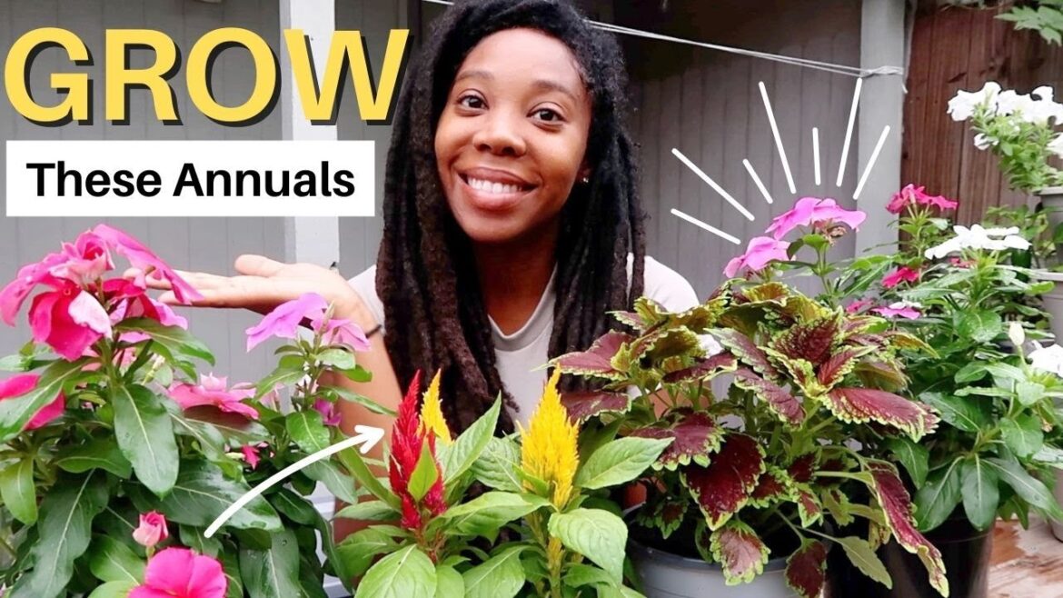 Potting Up SUMMER Annuals🌸( GROW THESE )🌿😃👍🏾 #containergardening