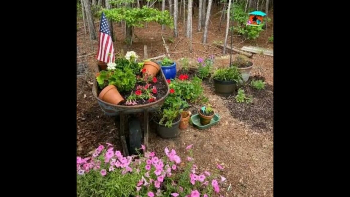 Mid Century Garden Design Ideas For Inspiration.