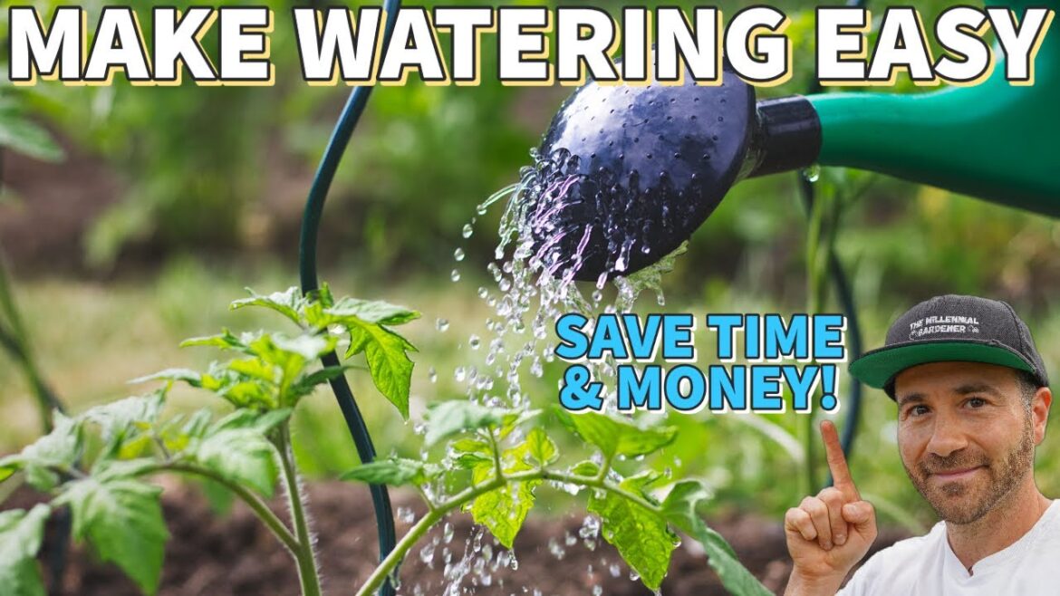 These 2 Things Made Watering My Garden SO EASY!