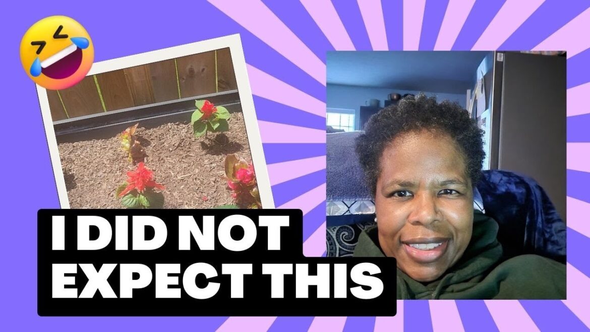 My Garden Tour May 2023 | Mistakes of a Second Year Gardener My Garden Tour May 2023 | Mistakes of a Second Year Gardener