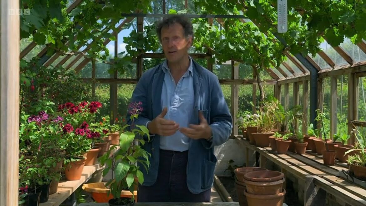 RHS Chelsea Flower Show 2023🍀First Look RHS Chelsea Flower Show 2023🍀First Look