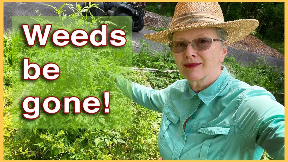 My LOVE AFFAIR with weeds is OVER! Pure PEACE in the garden!