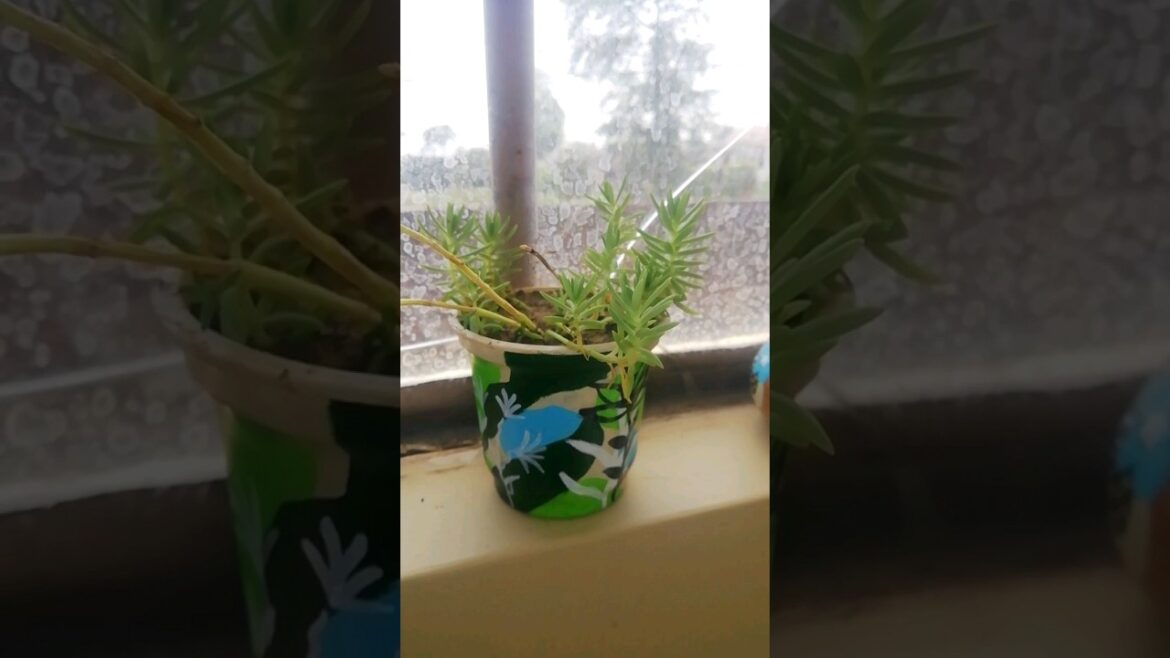 Viral DIY hack / Flower pot 3 #yt #youtuber #shorts #benevolentartzattack