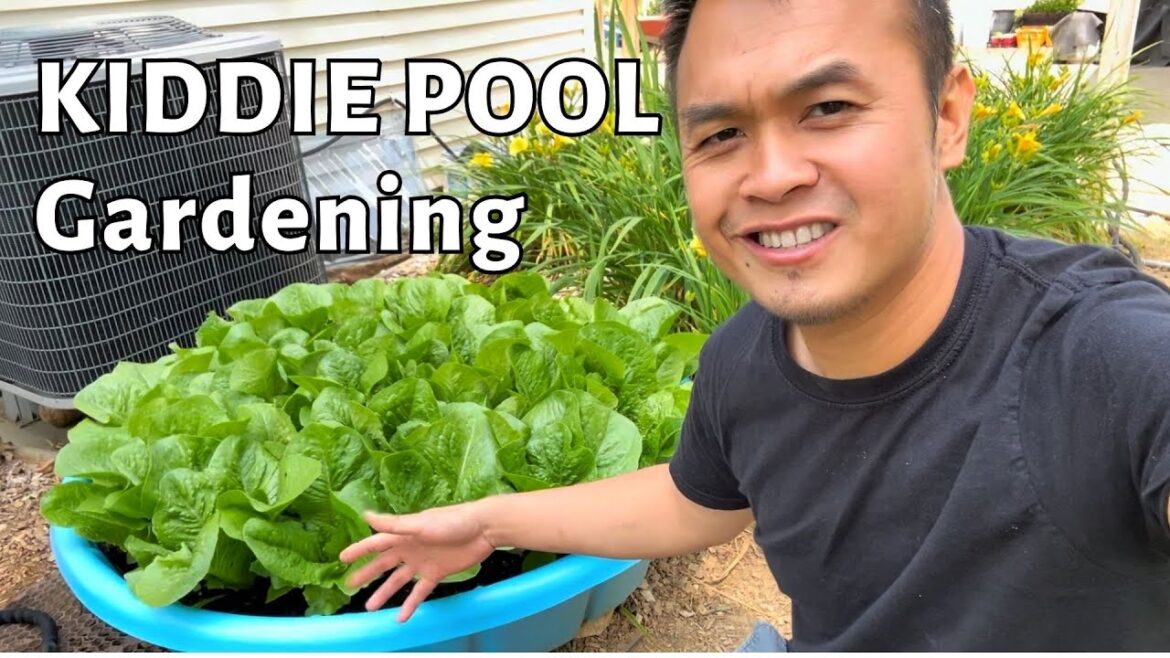 Growing food with kiddie pool gardening. cheap method for gardening. container gardening Growing food with kiddie pool gardening. cheap method for gardening. container gardening