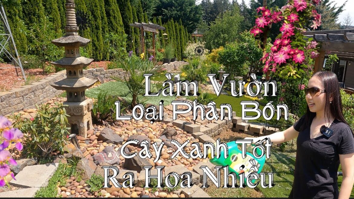 Làm Vườn  Sau Nhà  - Taylor Chia Sẻ Loại Phân Làm Cho Cây Phát Triển Rất Nhanh Và Ra Hoa Nhiều Đẹp