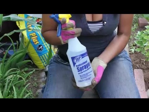 How to Kill Weeds in Herb Gardens : Herb Garden Tips How to Kill Weeds in Herb Gardens : Herb Garden Tips