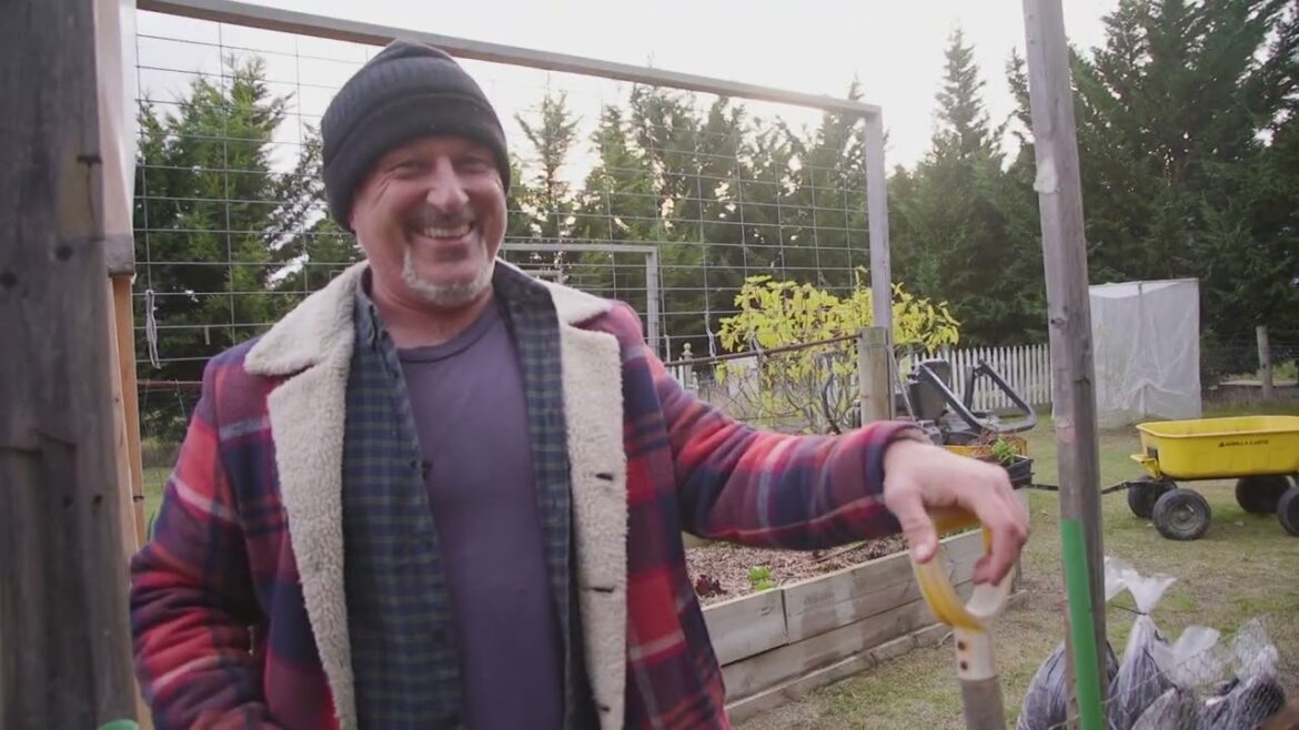 Hydrating and Planting Out A New Garden Bed