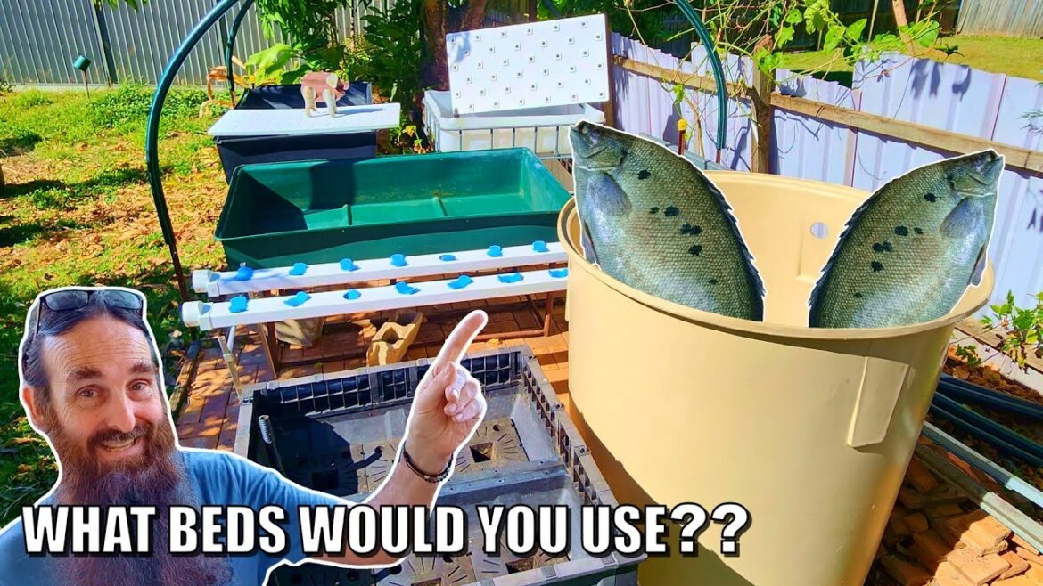 New Aquaponics System Design