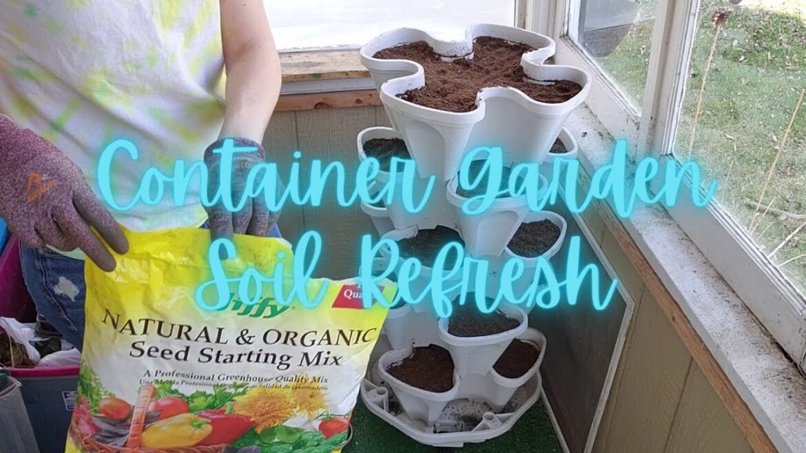 soil refresh for container gardening