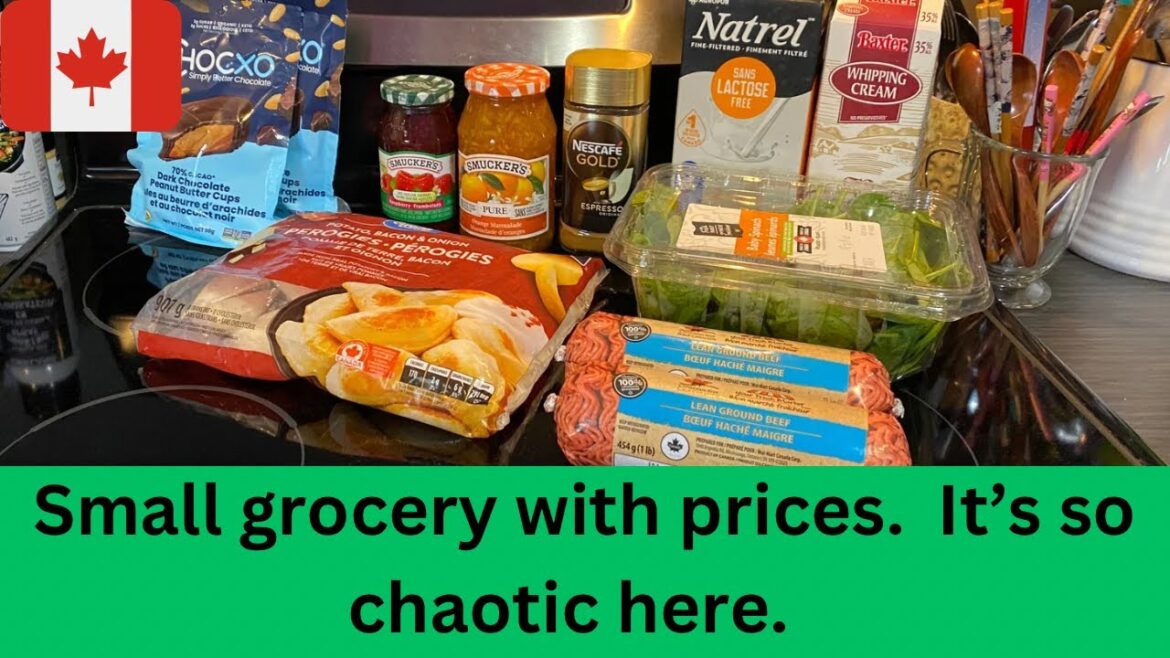 Small grocery haul with prices, garden plan update and what’s going on in here.  It’s chaos!