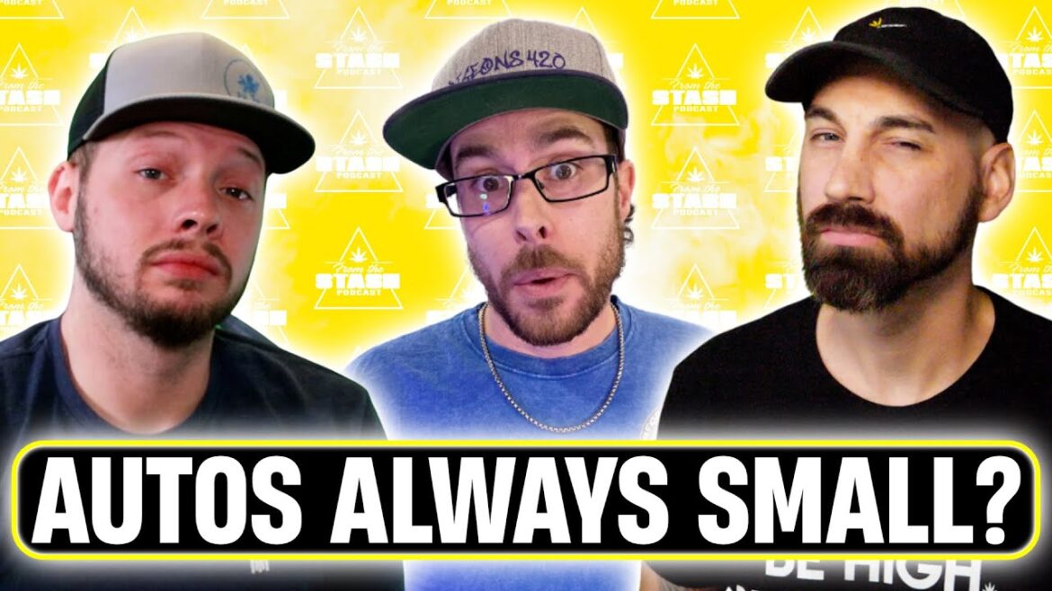 Answering YOUR Gardening Questions! (Q&A #07) - From The Stash Podcast Ep. 128