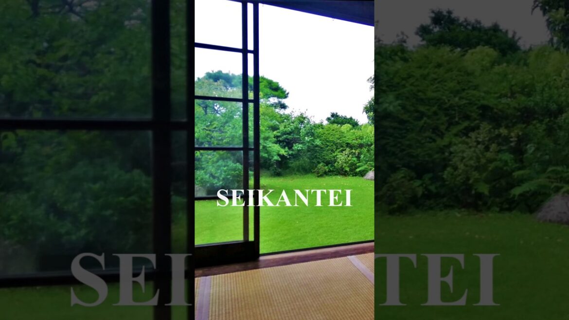 Japanese garden close to Odawara castle