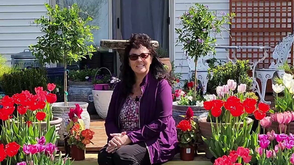 🌷 Tulips in Containers (With NAMES) #gardening #containergardening